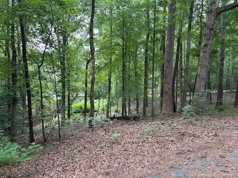 162 Woodwedge Way Sanford NC 27332