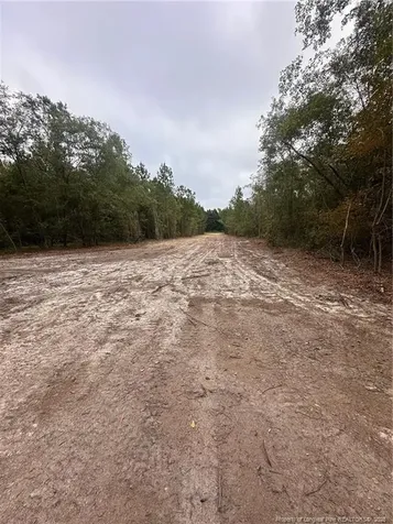 Tbd Doe Hill Road Autryville NC 28318