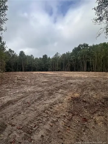 Tbd Doe Hill Road Autryville NC 28318