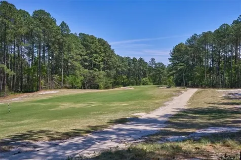 30121 Deercroft Drive Wagram NC 28396