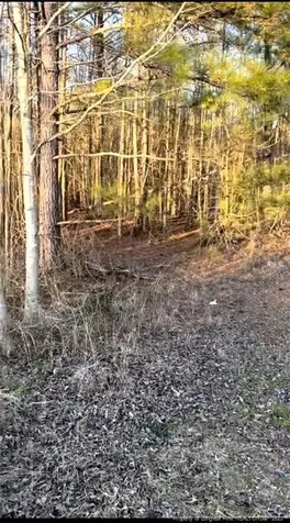 2727 Wire Road Erwin NC 28339