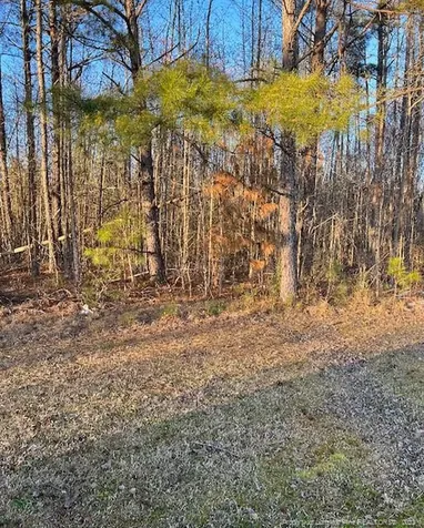 2727 Wire Road Erwin NC 28339