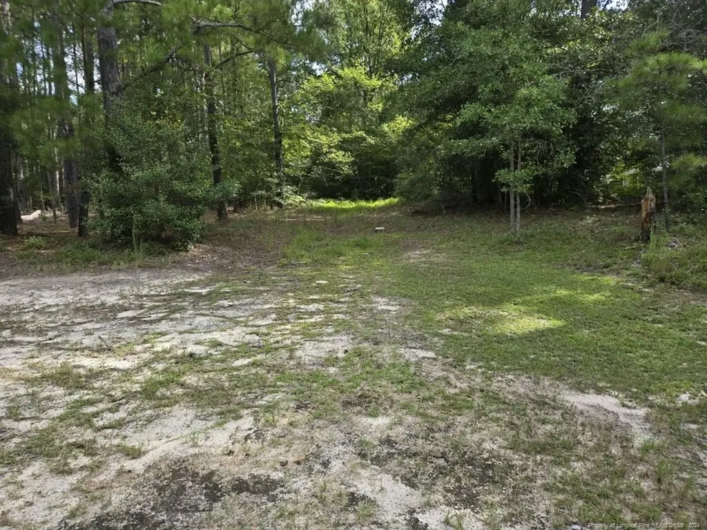 815 Morrison Bridge Road Vass NC 28394