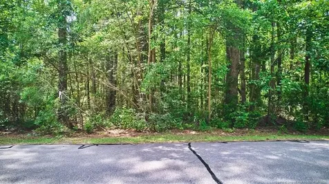 16 Lakeshore Wagram NC 28396