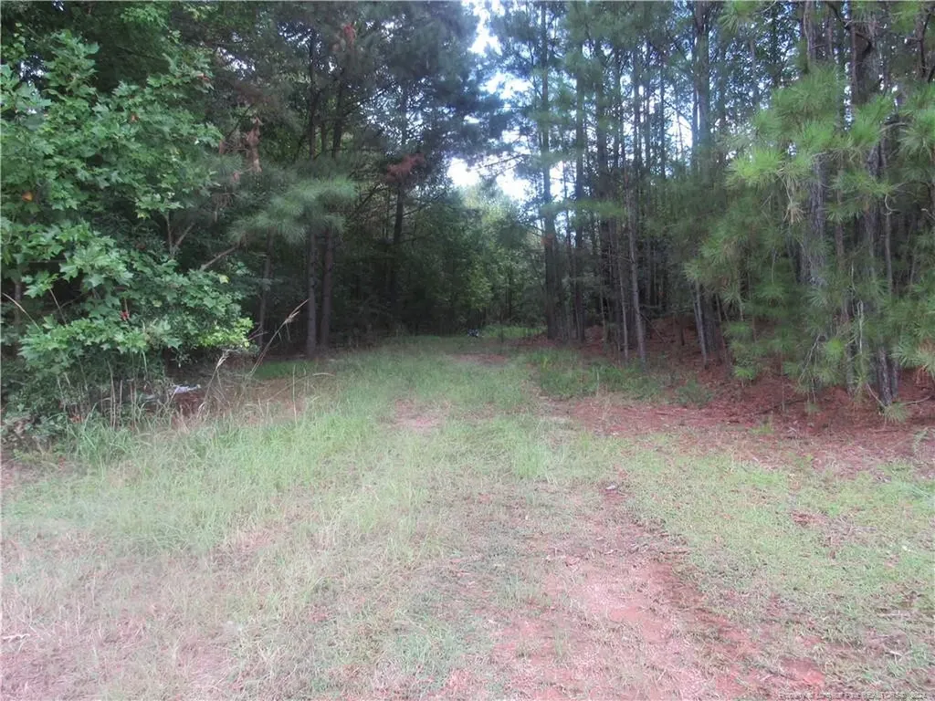 0 Boone Trail Road Sanford NC 27330