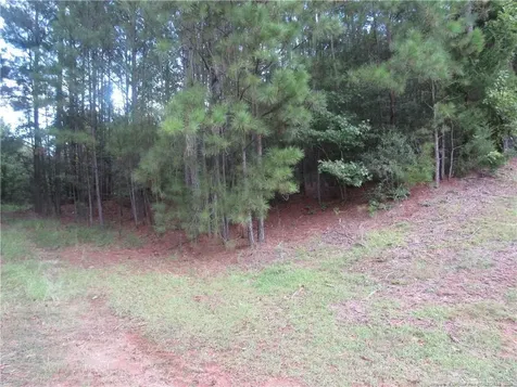 0 Boone Trail Road Sanford NC 27330