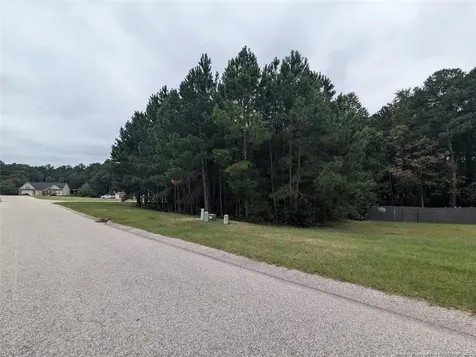 Tbd 282 Falling Leaf Drive Raeford NC 28376