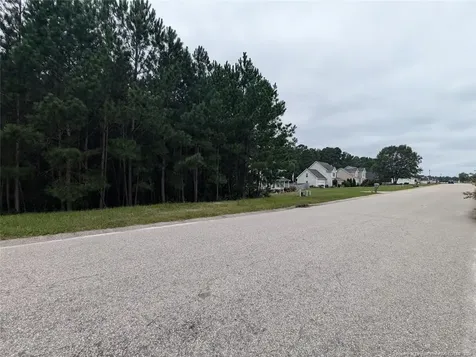 Tbd 282 Falling Leaf Drive Raeford NC 28376