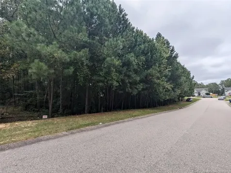 Tbd 282 Falling Leaf Drive Raeford NC 28376
