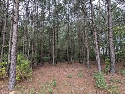 Tbd 282 Falling Leaf Drive Raeford NC 28376