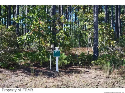 125 Broadlake (647) Lane Spring Lake NC 28390