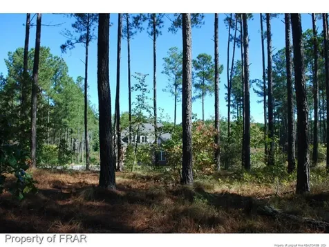 125 Broadlake (647) Lane Spring Lake NC 28390