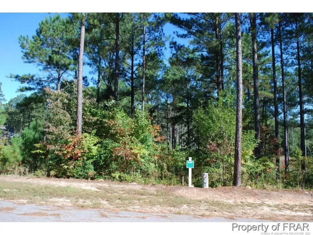 132 Broadlake (634) Lane Spring Lake NC 28390