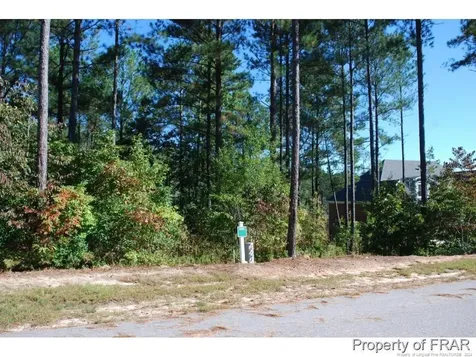 132 Broadlake (634) Lane Spring Lake NC 28390