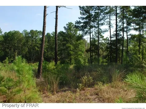 182 Broadlake (637) Lane Spring Lake NC 28390