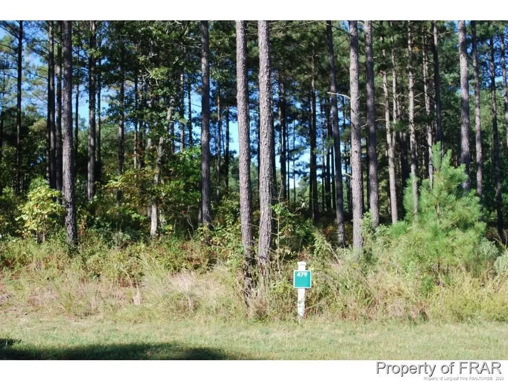 45 Broadlake (479) Lane Spring Lake NC 28390