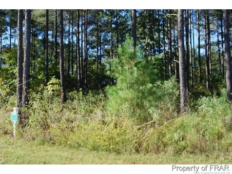 45 Broadlake (479) Lane Spring Lake NC 28390
