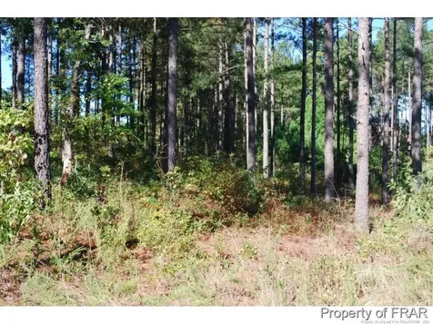 45 Broadlake (479) Lane Spring Lake NC 28390