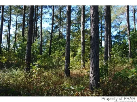 45 Broadlake (479) Lane Spring Lake NC 28390