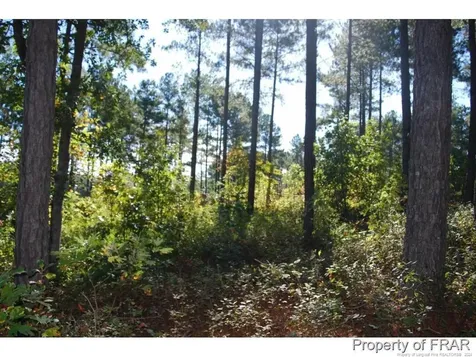 45 Broadlake (479) Lane Spring Lake NC 28390