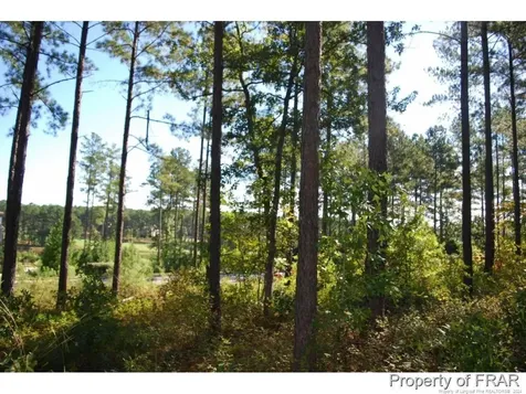 45 Broadlake (479) Lane Spring Lake NC 28390