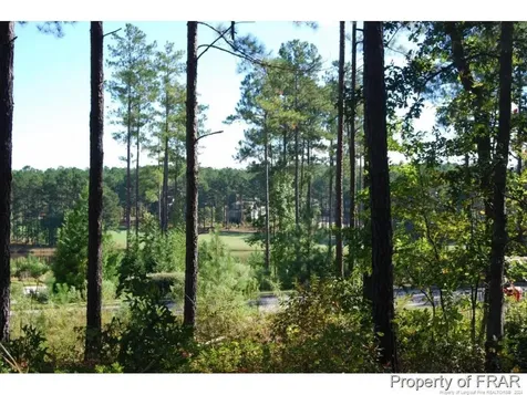 45 Broadlake (479) Lane Spring Lake NC 28390
