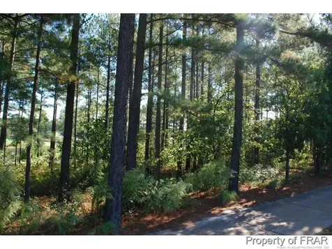 45 Broadlake (479) Lane Spring Lake NC 28390