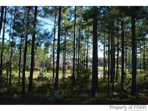 45 Broadlake (479) Lane Spring Lake NC 28390