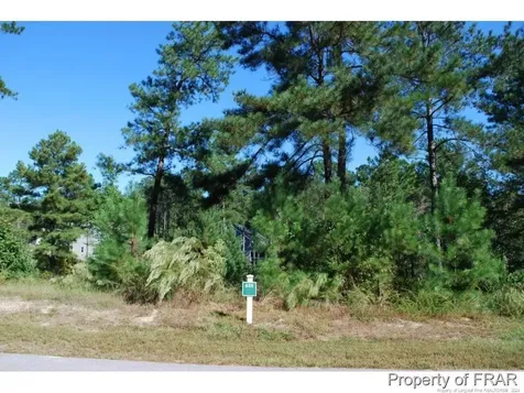 152 Broadlake (635) Lane Spring Lake NC 28390