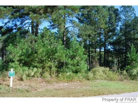 152 Broadlake (635) Lane Spring Lake NC 28390
