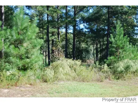 152 Broadlake (635) Lane Spring Lake NC 28390