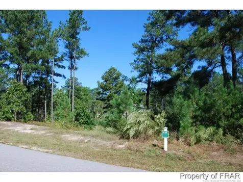 152 Broadlake (635) Lane Spring Lake NC 28390