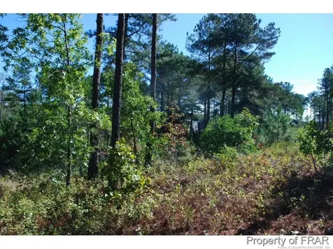 152 Broadlake (635) Lane Spring Lake NC 28390