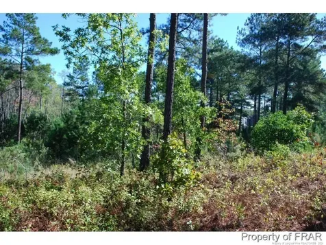152 Broadlake (635) Lane Spring Lake NC 28390