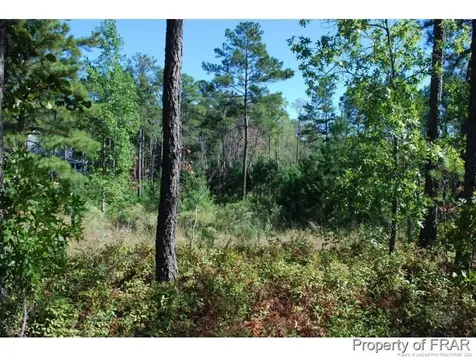 152 Broadlake (635) Lane Spring Lake NC 28390