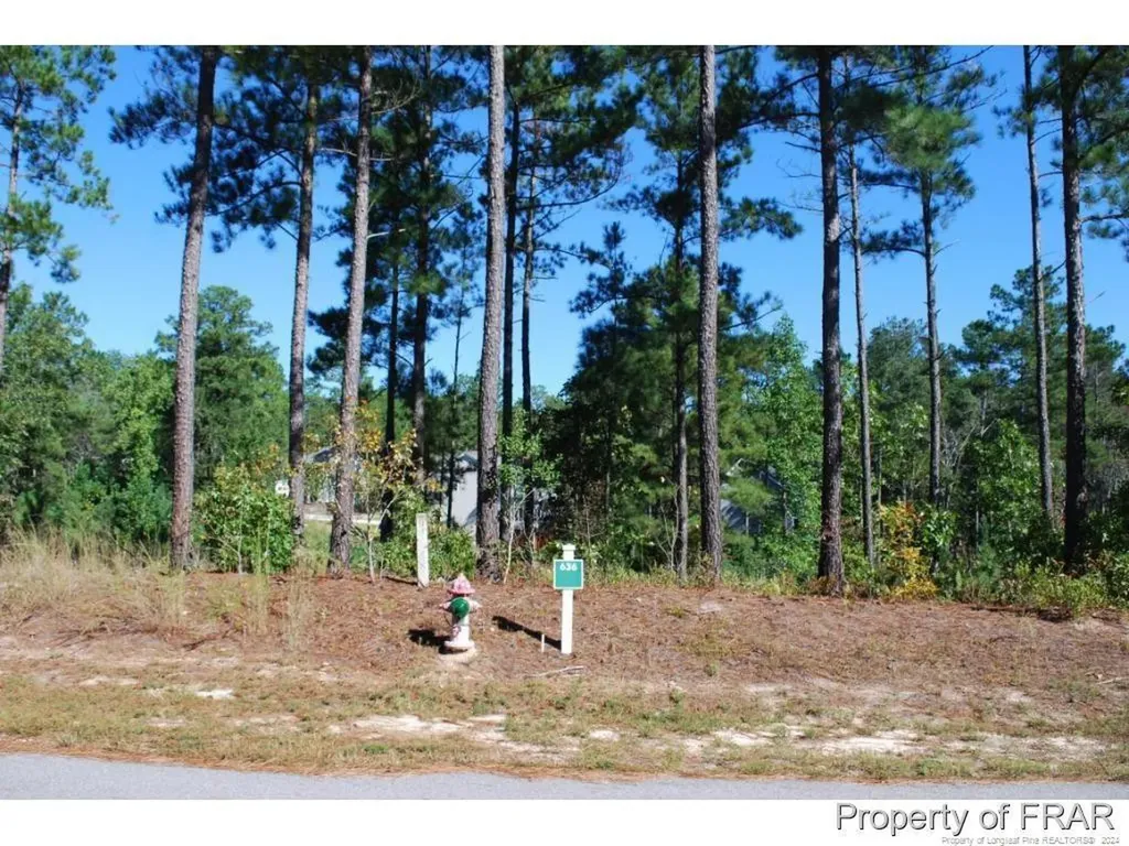 162 Broadlake (636) Lane Spring Lake NC 28390