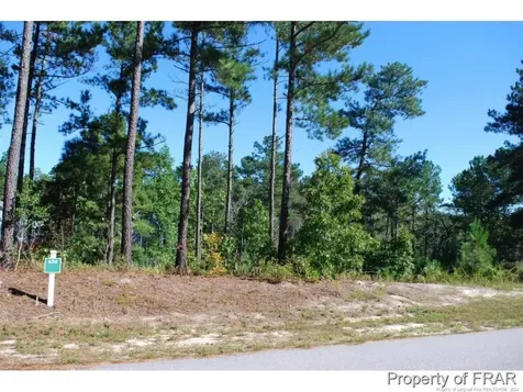 162 Broadlake (636) Lane Spring Lake NC 28390