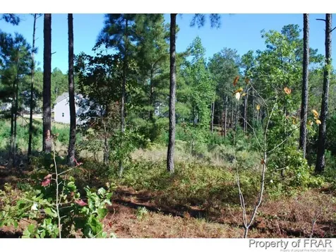 162 Broadlake (636) Lane Spring Lake NC 28390