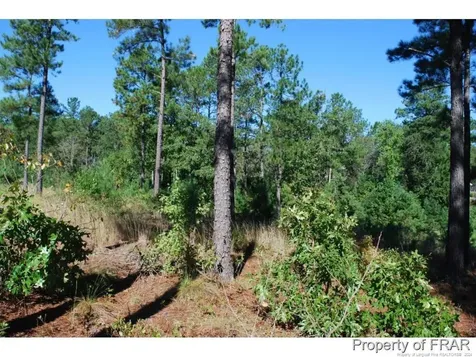 162 Broadlake (636) Lane Spring Lake NC 28390