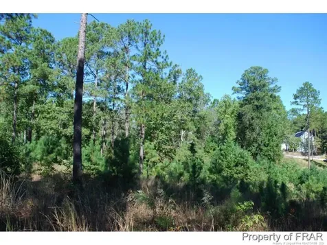 162 Broadlake (636) Lane Spring Lake NC 28390