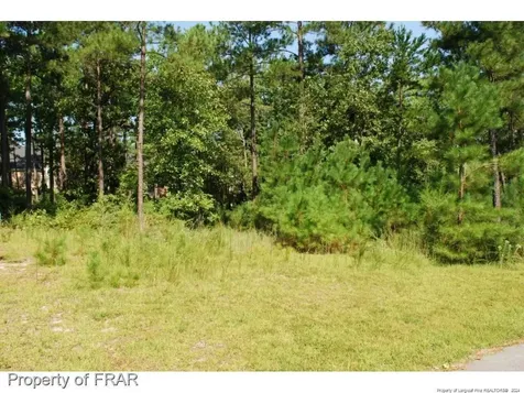 232 Broadlake (640) Lane Spring Lake NC 28390