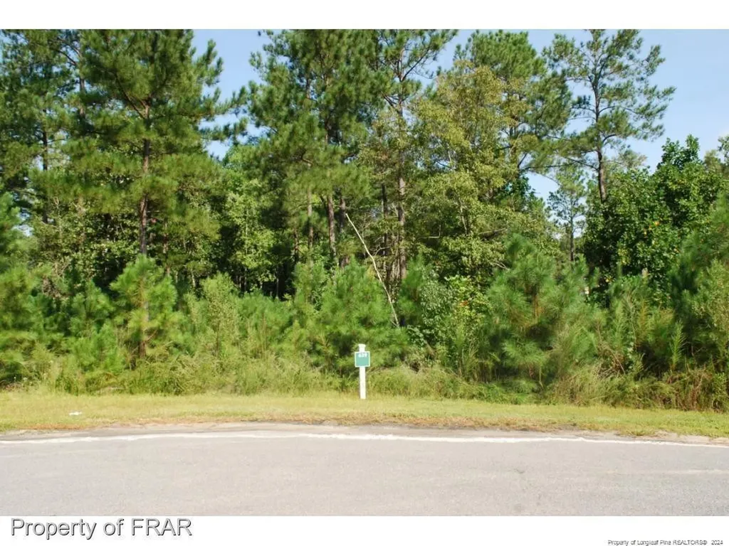 222 Broadlake (639) Lane Spring Lake NC 28390