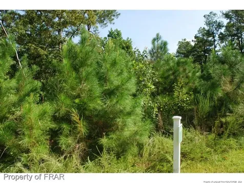222 Broadlake (639) Lane Spring Lake NC 28390