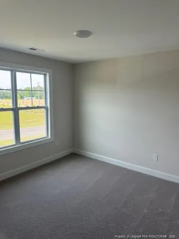 23 Surles Landing Way Benson NC 27504