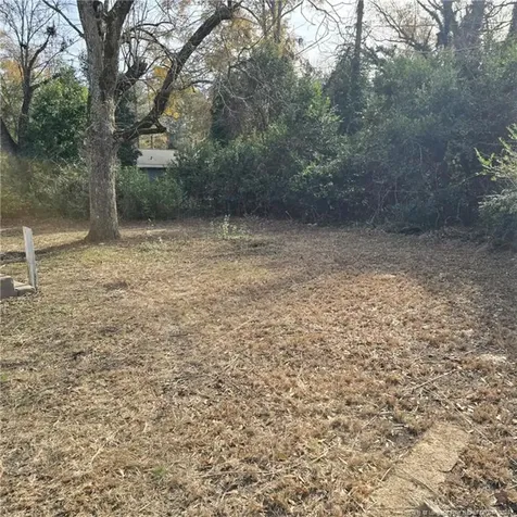 223 E Vance Street Laurinburg NC 28352