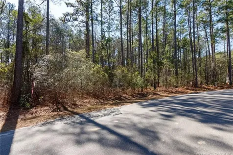 #4 Caddie Court Wagram NC 28396
