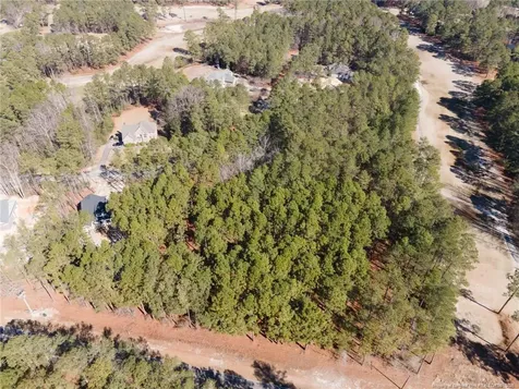 #4 Caddie Court Wagram NC 28396