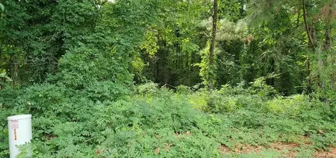 0 Buckhorn Duncan Road Holly Springs NC 27540