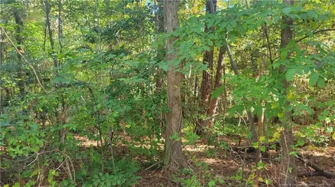 3201 Argyll Drive Sanford NC 27332