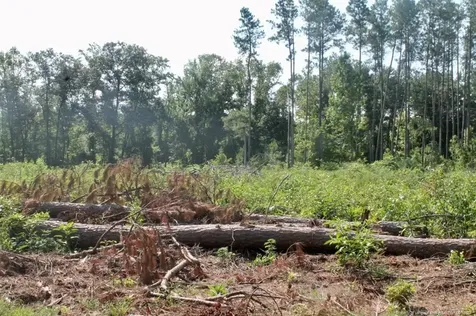 Laurinburg Road Highway S Raeford NC 28376
